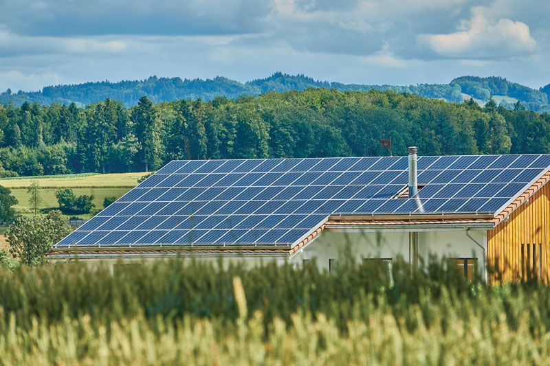 In una fabbrica di pannelli solari, ogni cella viene ispezionata per misurarne le prestazioni.   pannelli solari